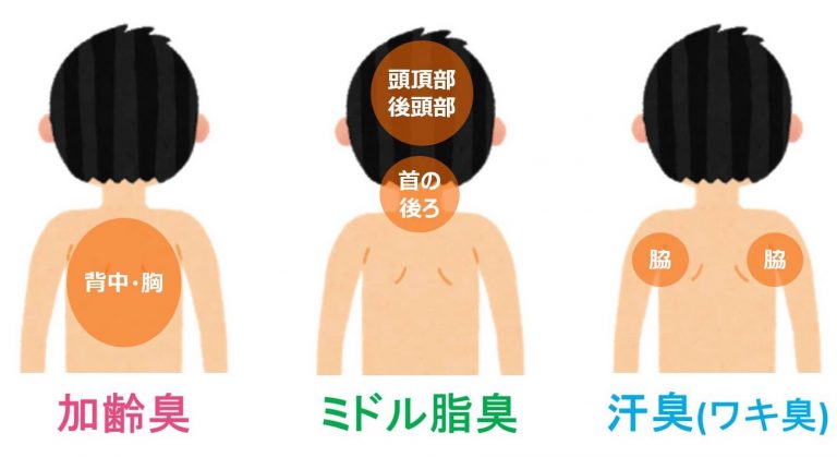 加齢臭・ミドル脂臭・汗臭の違い